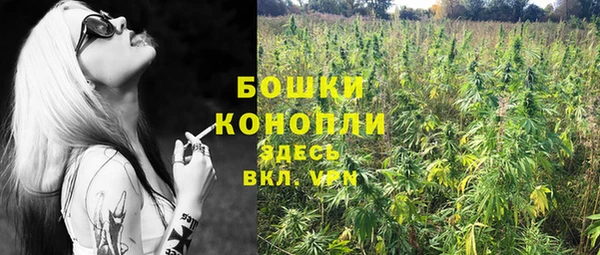 МДМА Бородино