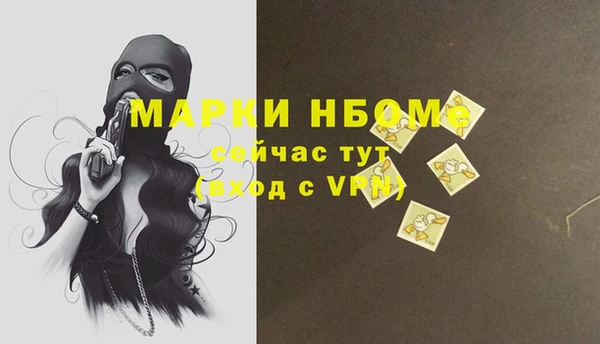 стафф Верхний Тагил